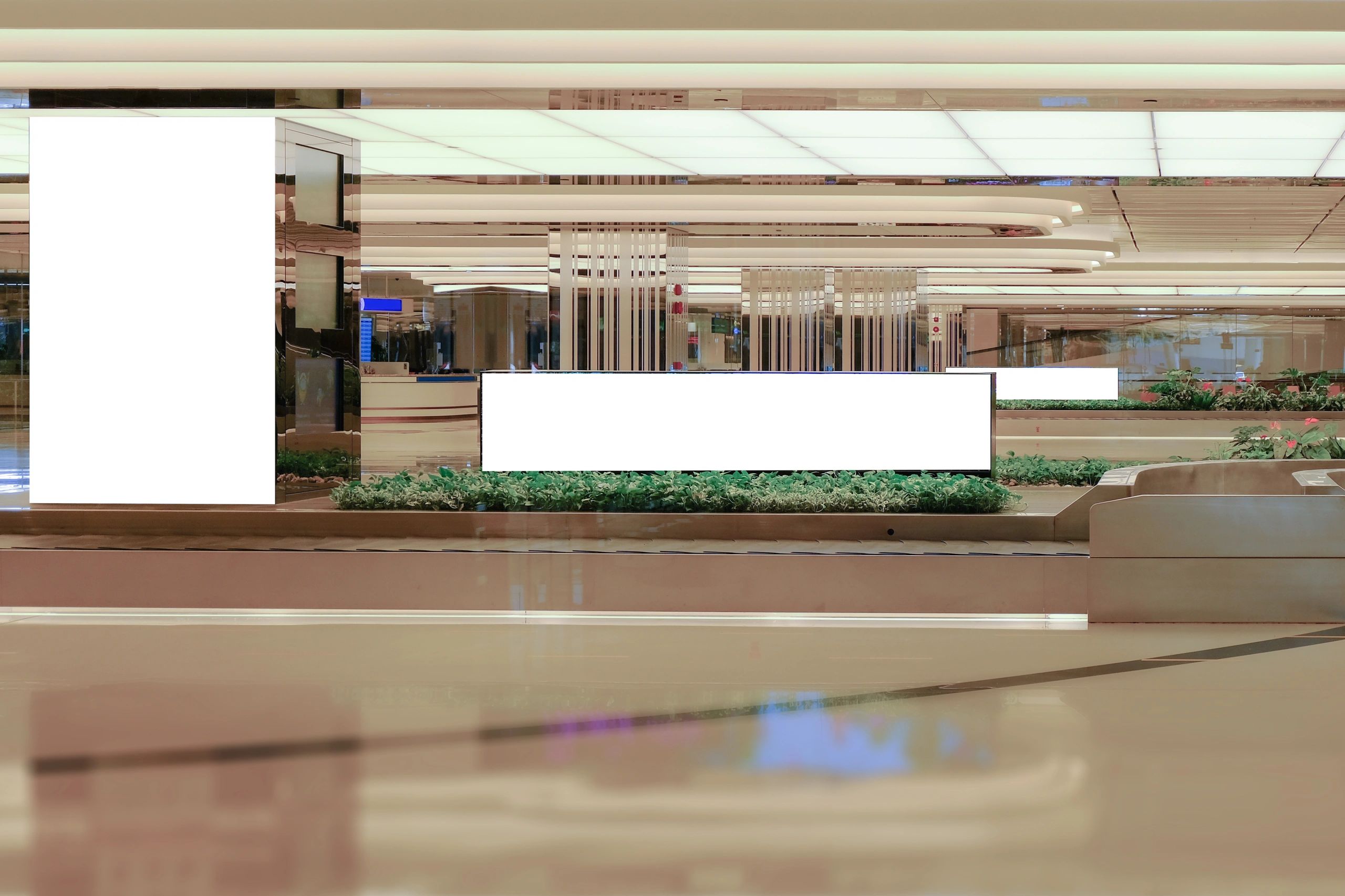 Digital display environment representing provider and package guidance