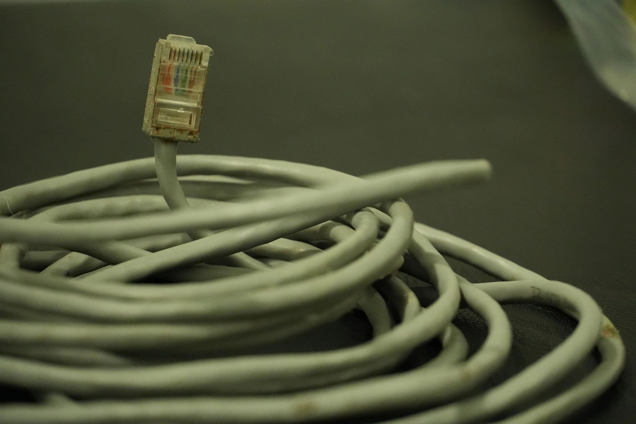 Coiled Ethernet cable representing business network infrastructure